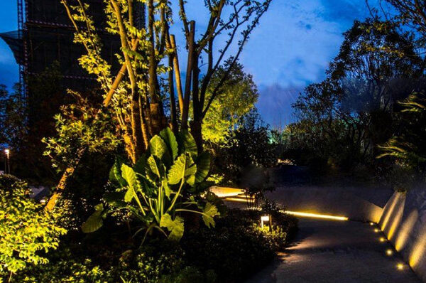 DMX Lighting